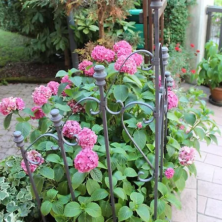 Al Castello 호텔 3*